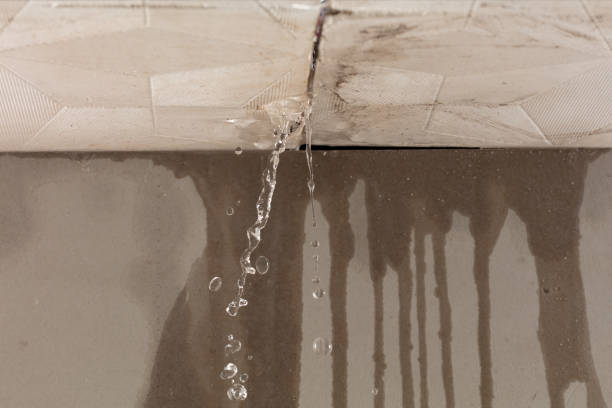 Professional Water Damage Repair technician working in Interlochen, MI